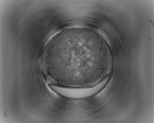 X0000097791433200803141819