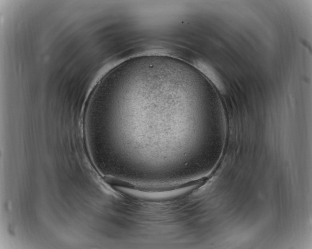 X0000097791436200803141819