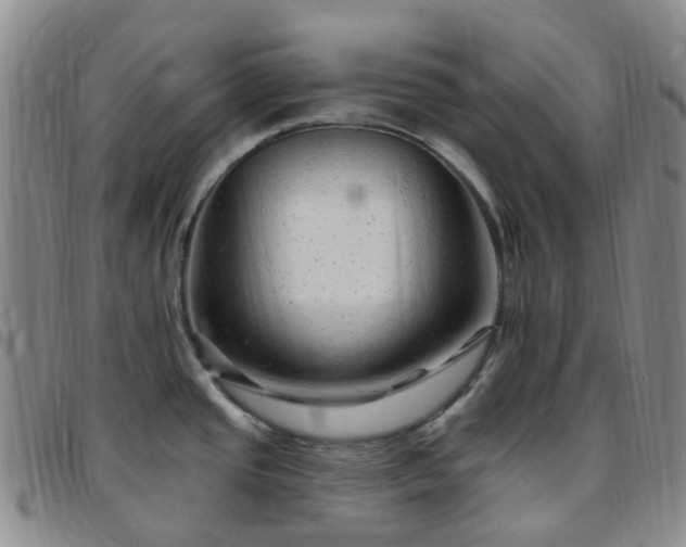 X0000097791437200803141819