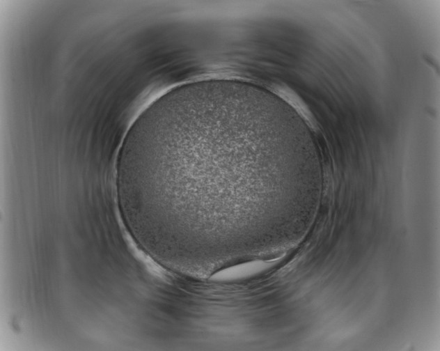X0000097791439200803141819