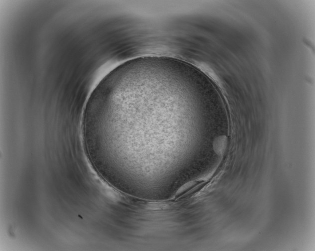 X0000097791440200803141819