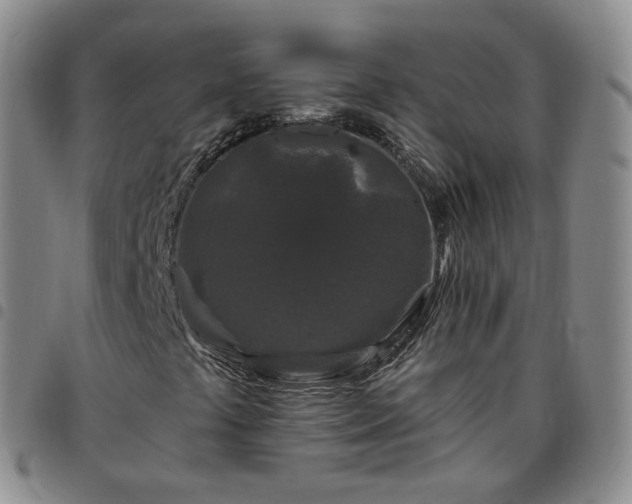 X0000097791441200803141819