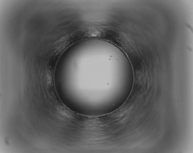 X0000097791442200803141819