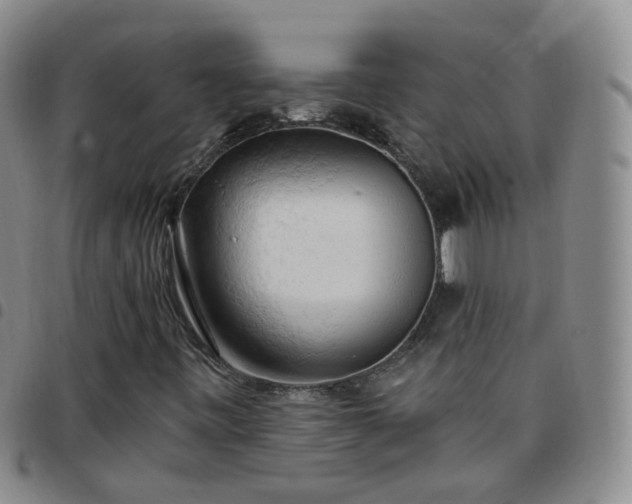 X0000097791443200803141819
