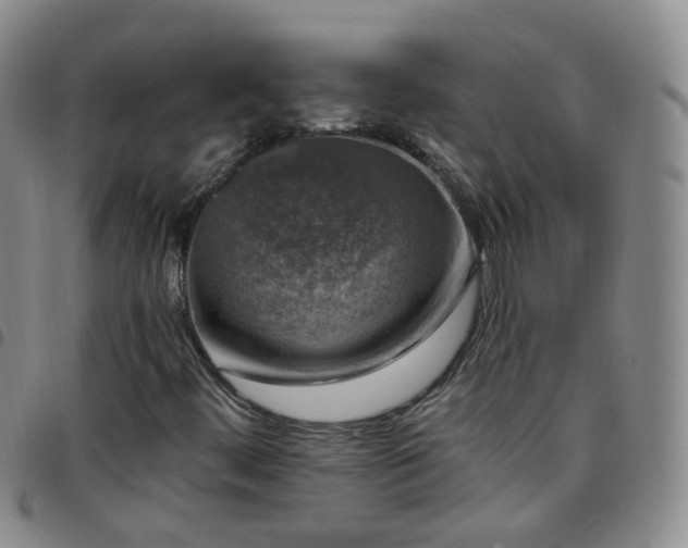 X0000097791444200803141819