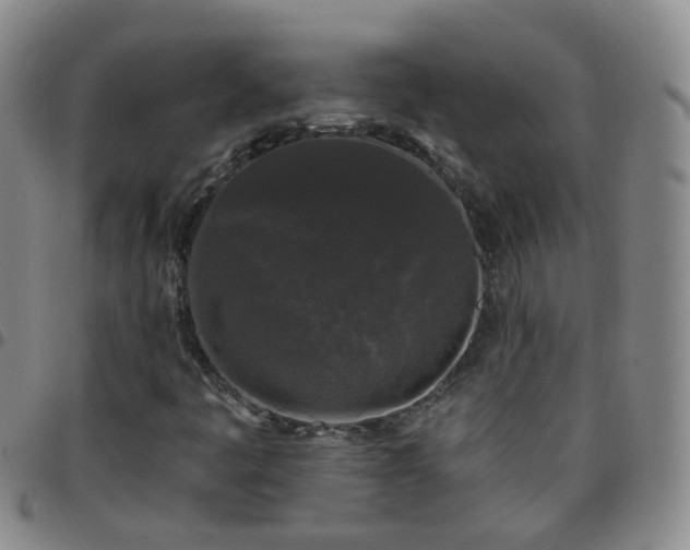 X0000097791445200803141819