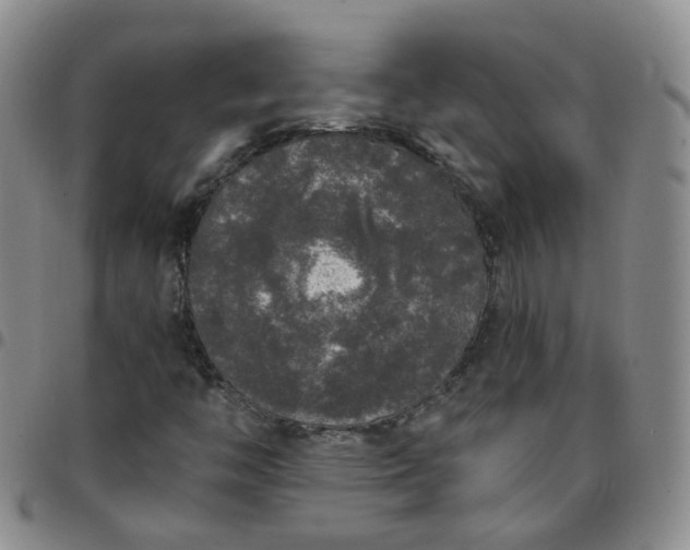 X0000097791446200803141819