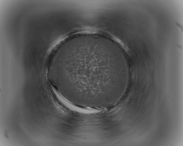 X0000097791448200803141819