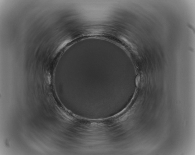 X0000097791449200803141819