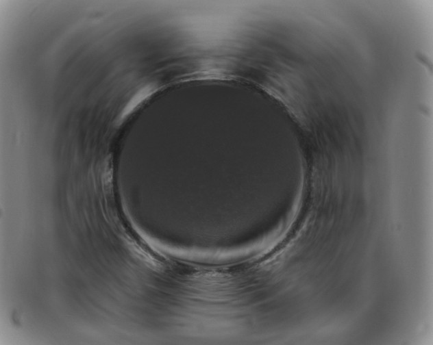 X0000097791450200803141819