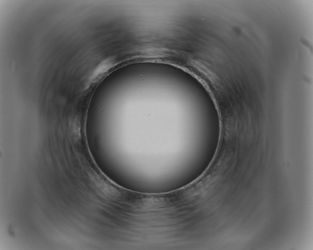 X0000097791451200803141819