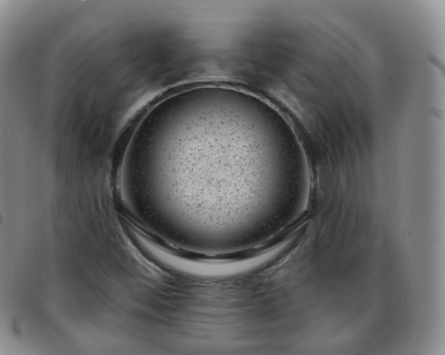 X0000097791452200803141819