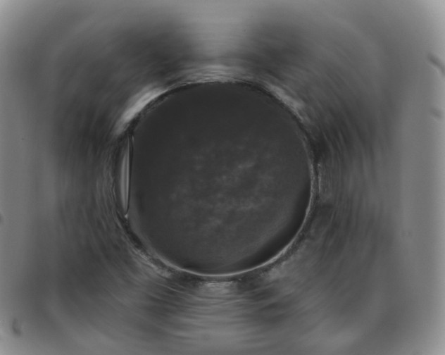 X0000097791453200803141819