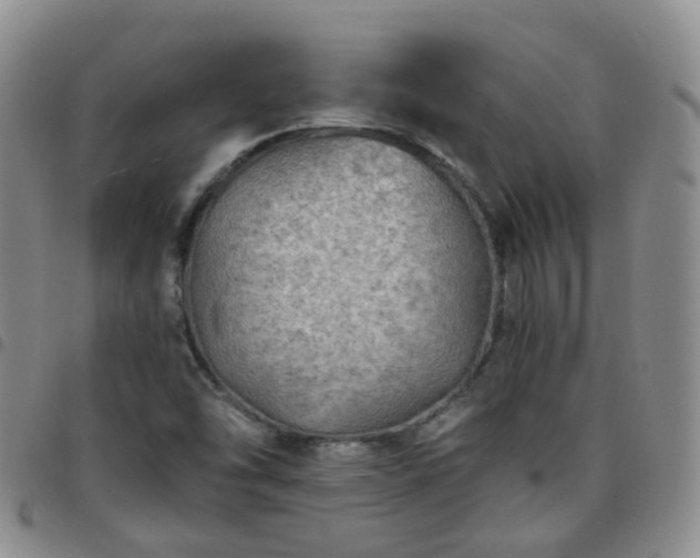 X0000097791454200803141819
