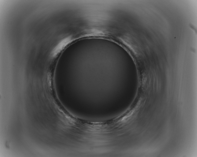 X0000097791455200803141819