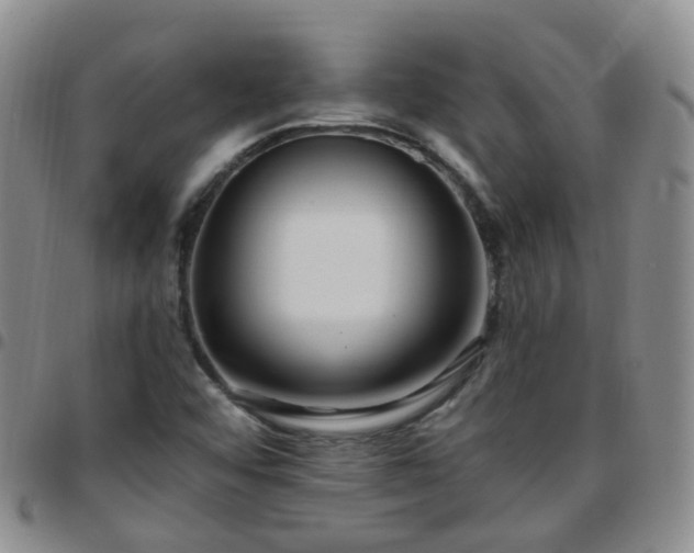 X0000097791456200803141819