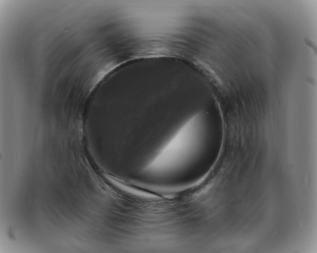 X0000097791457200803141819