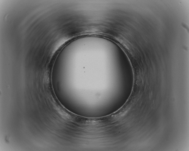 X0000097791458200803141819