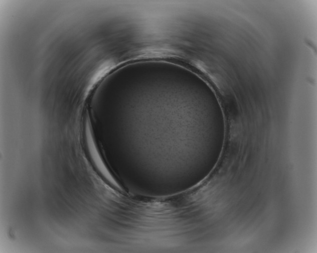 X0000097791459200803141819