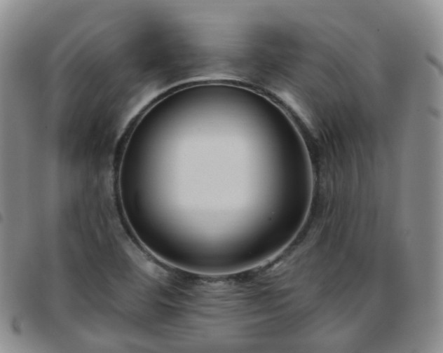 X0000097791460200803141819