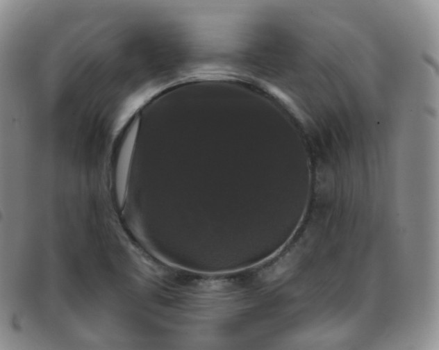 X0000097791461200803141819