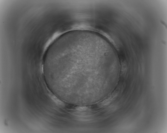 X0000097791462200803141819