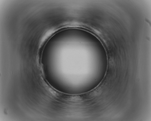 X0000097791464200803141819