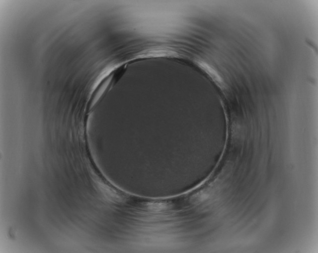 X0000097791465200803141818