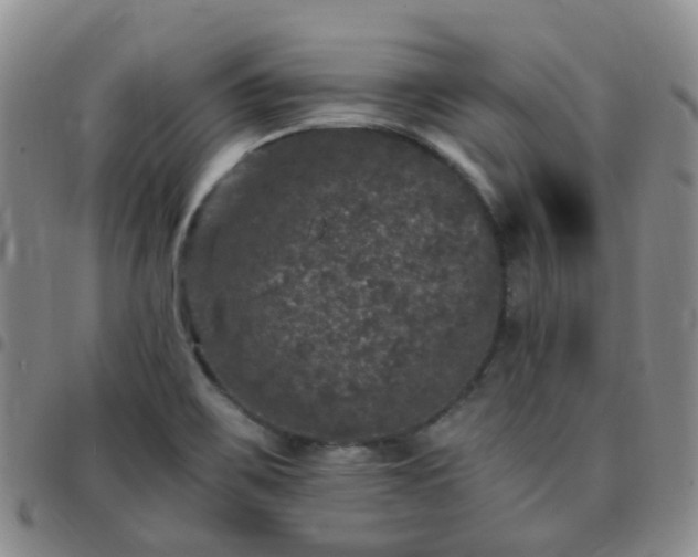 X0000097791467200803141818