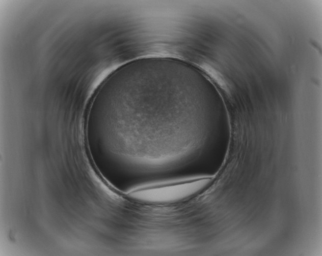 X0000097791468200803141818