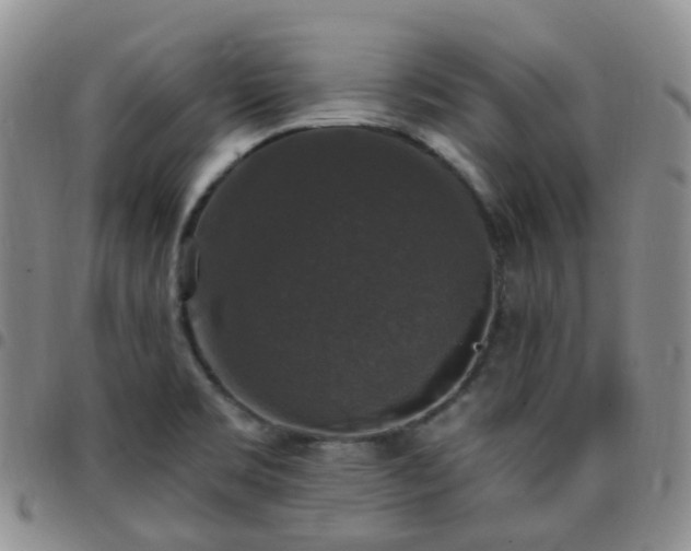 X0000097791469200803141818