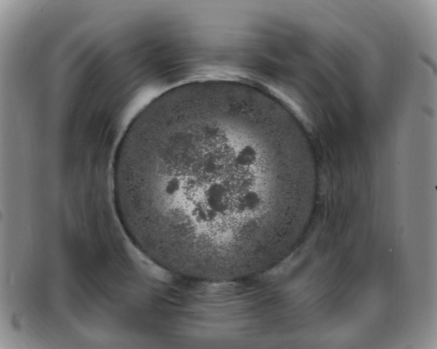 X0000097791471200803141818