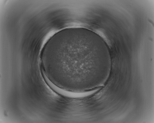 X0000097791472200803141818