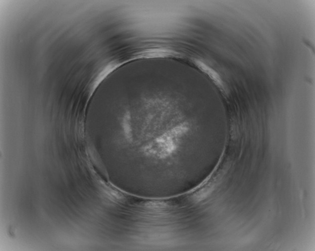 X0000097791473200803141818