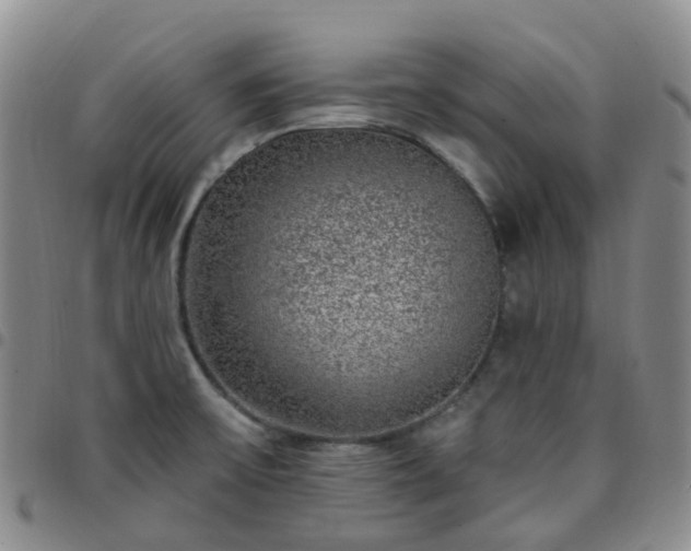 X0000097791475200803141818