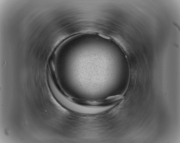 X0000097791476200803141818