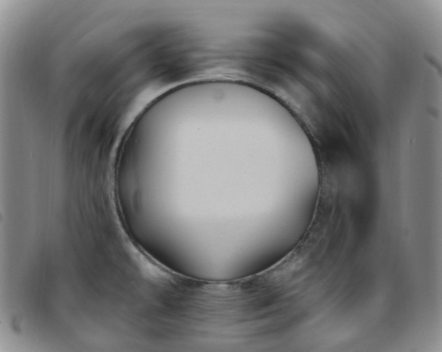 X0000097791478200803141818