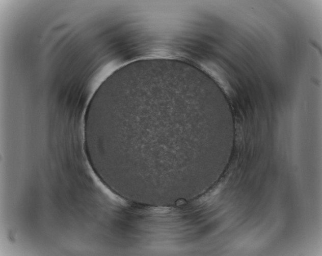 X0000097791479200803141818