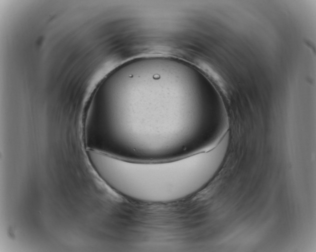 X0000097791480200803141818