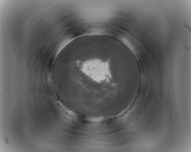 X0000097791481200803141818