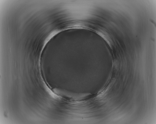 X0000097791482200803141818