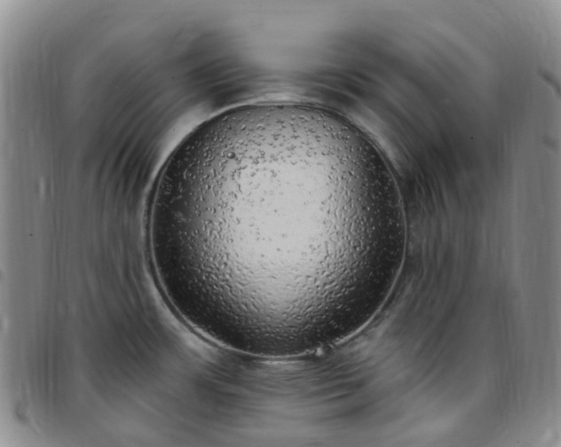 X0000097791483200803141818