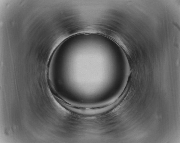 X0000097791484200803141818
