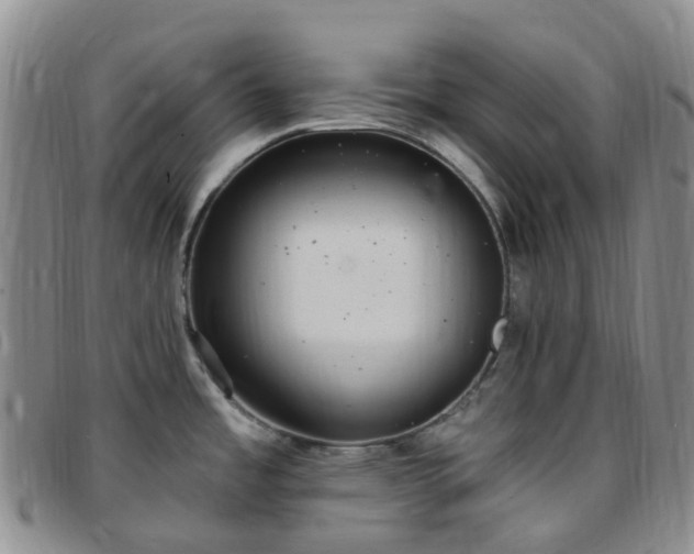 X0000097791485200803141818