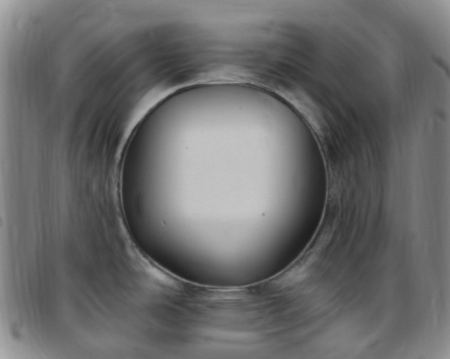 X0000097791486200803141818