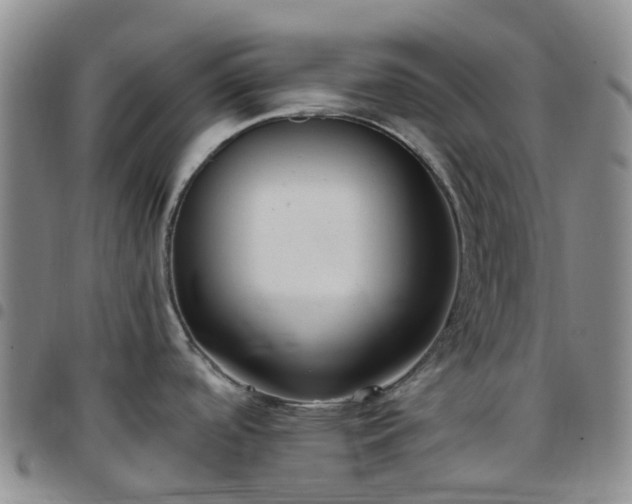 X0000097791488200803141818