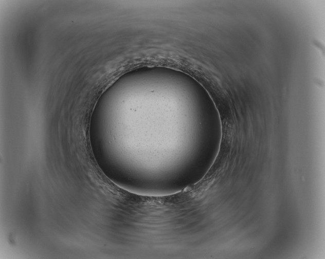 X0000097791489200803141818