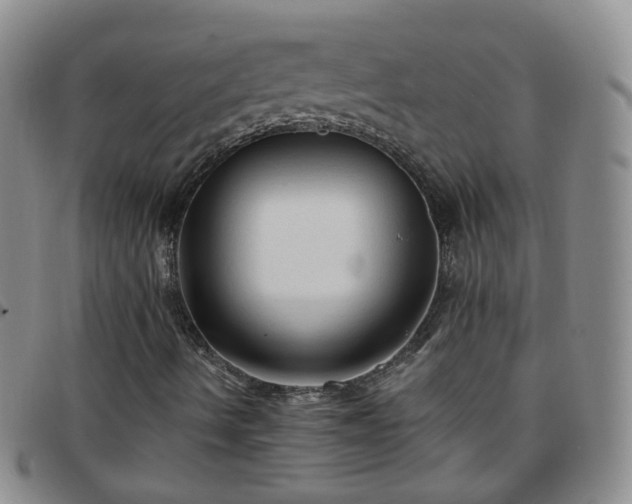 X0000097791490200803141818