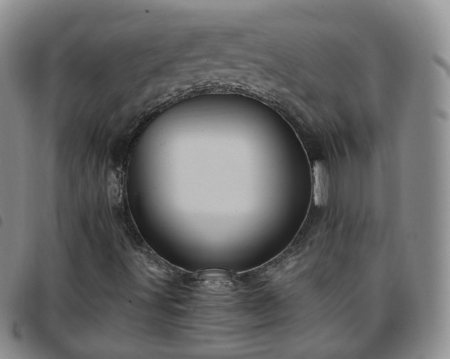 X0000097791491200803141818