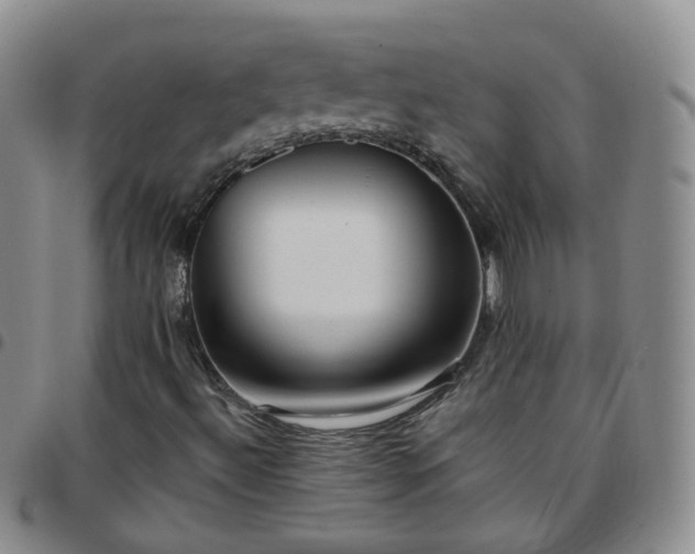 X0000097791492200803141818